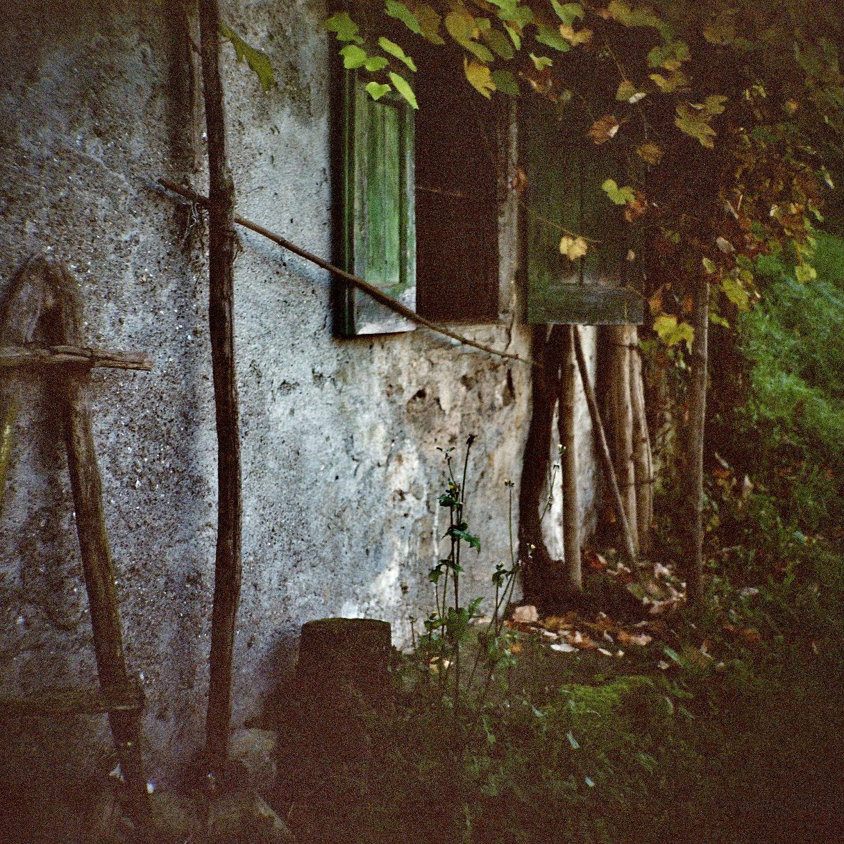 Kodak - Gold 200 Color Negative - 120 Roll film - 1 Pack