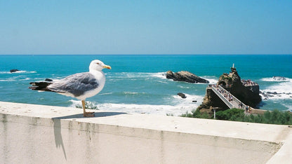 Kodak - Portra 400 Color Negative (120 Roll Film, 1 Pack)