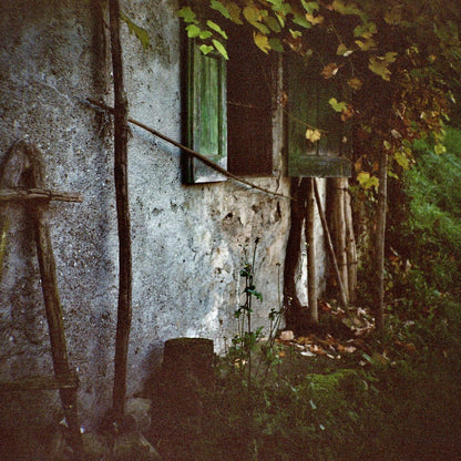 Kodak - Gold 200 Color Negative - 120 Roll film - 1 Pack