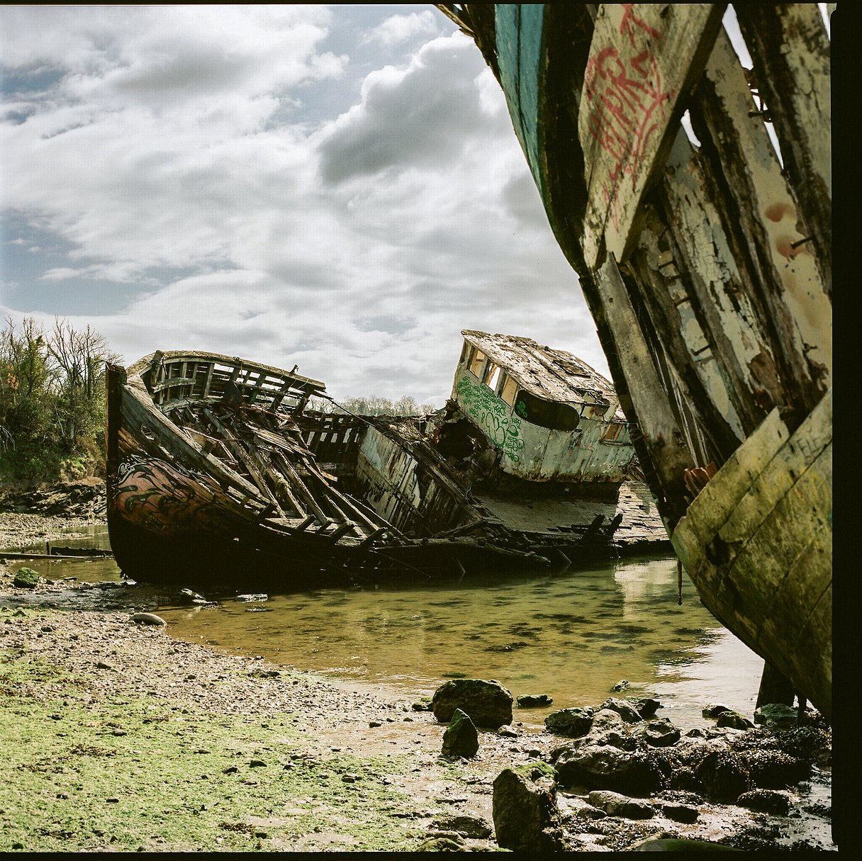 Kodak - Portra 160 Color Negative (120 Roll Film, 1 Pack)