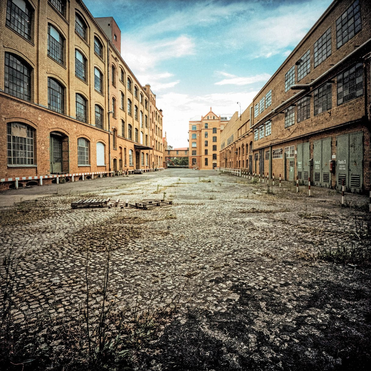 Kodak - Portra 160 Color Negative (120 Roll Film, 1 Pack)