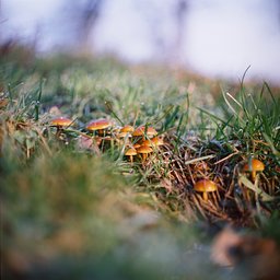 Kodak - Portra 400 Color Negative (120 Roll Film, 1 Pack)